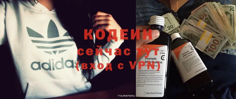 darknet наркотические препараты  Ленинск-Кузнецкий  Codein Purple Drank 